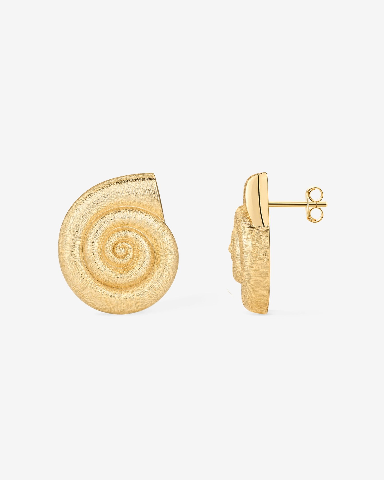 Lumi Conch Earrings