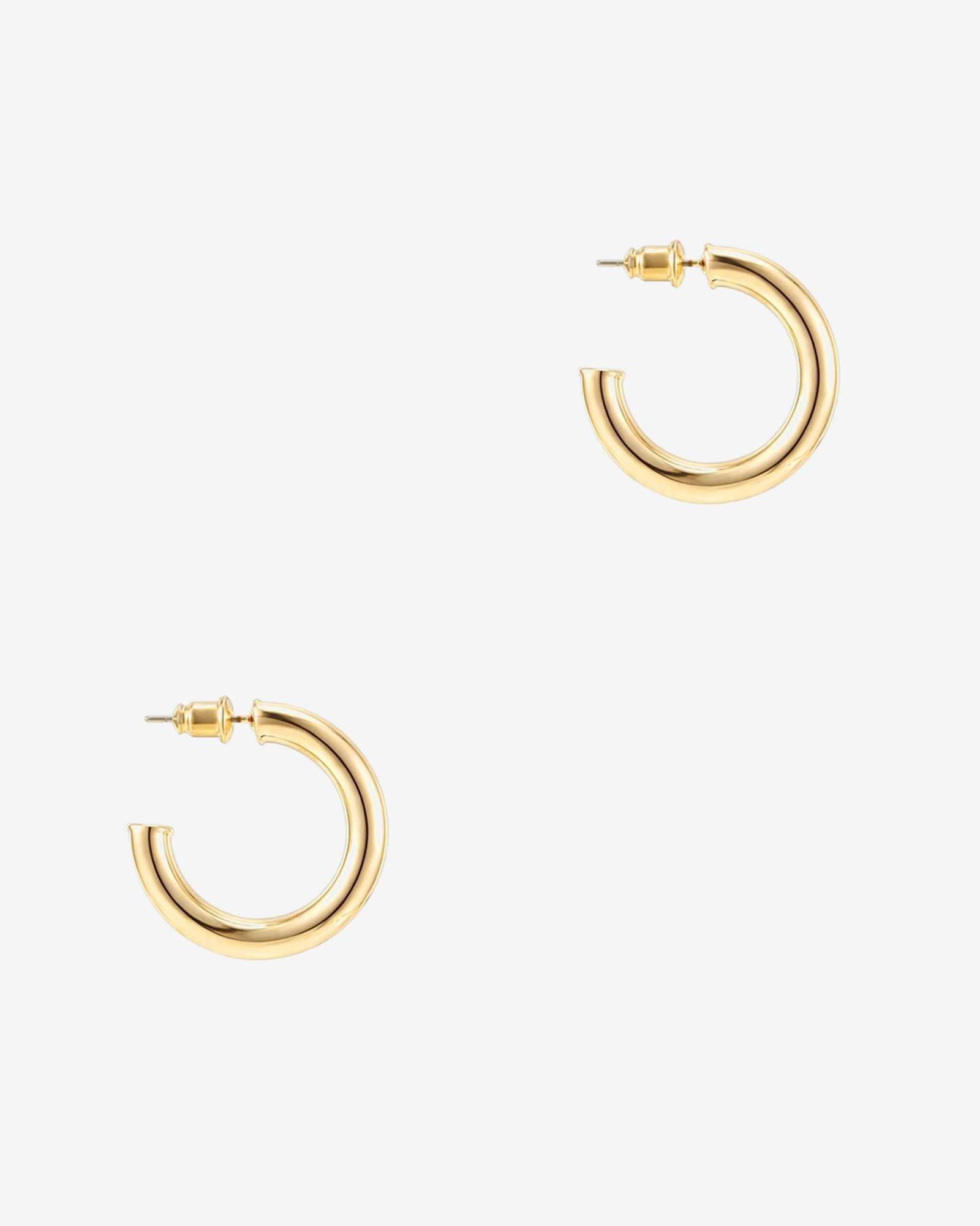 Diane Hoops - Image 2