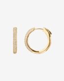 Ilse Hoops