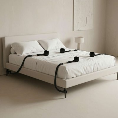 Bed Restraint System