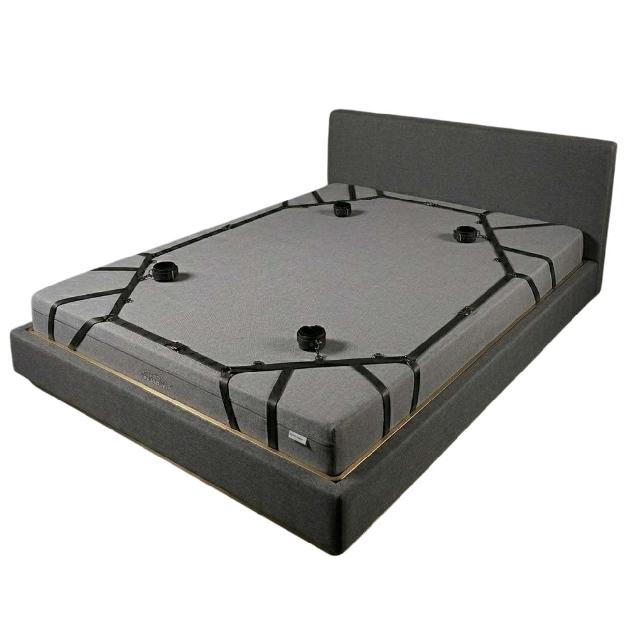 Spider Web Bed Restraint System